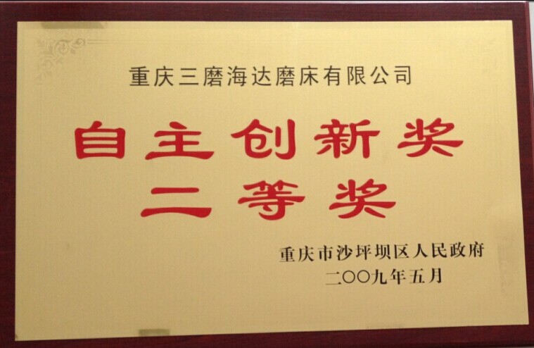 2009年自主创新奖